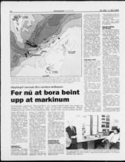 Síða 14
