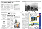 Síða 2