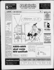 Síða 28