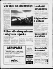 Síða 3
