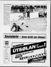 Síða 15