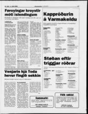 Síða 17