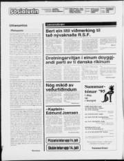 Síða 2
