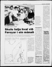 Síða 4
