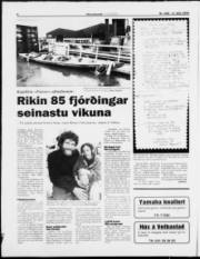 Síða 8