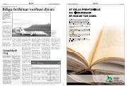 Síða 8