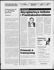 Síða 2