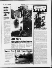 Síða 9