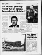 Síða 17