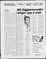 Síða 2