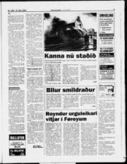 Síða 9