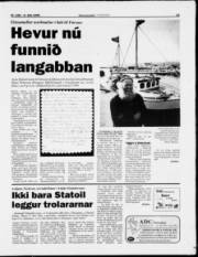 Síða 13