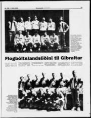 Síða 15