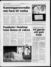 Síða 3