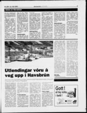 Síða 5