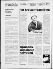 Síða 2