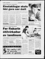 Síða 7