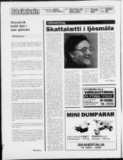 Síða 2
