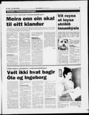 Síða 3