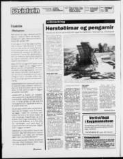 Síða 2
