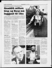 Síða 3