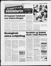 Síða 6