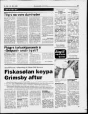Síða 13