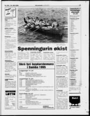 Síða 15