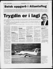 Síða 3
