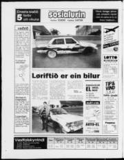 Síða 20