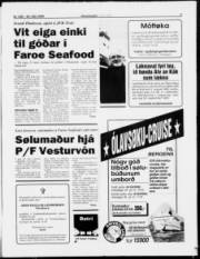Síða 3