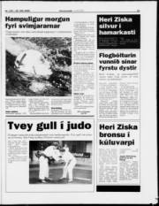 Síða 11