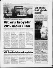 Síða 3