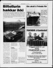 Síða 5
