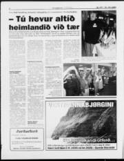 Síða 6