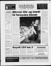 Síða 20