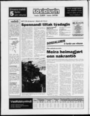 Síða 28