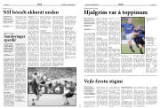 Síða 13