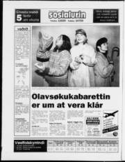 Síða 20