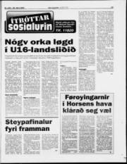 Síða 15