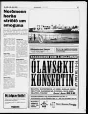 Síða 17