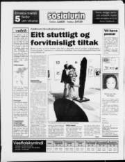 Síða 20