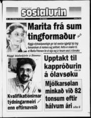 Síða 1