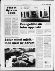 Síða 6