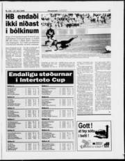 Síða 17