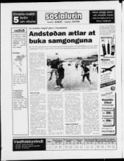Síða 28