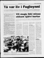 Síða 12