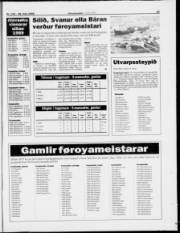 Síða 19
