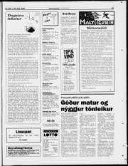 Síða 23