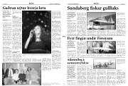 Síða 3